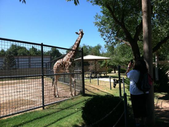 Hillcrest Park Zoo